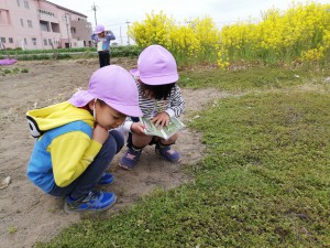 IMG_20190417_112625