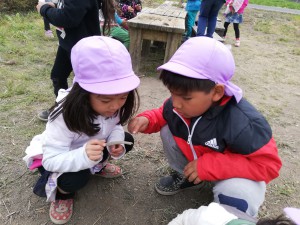 IMG_20190417_113057